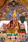 图为6月16日，班禅在西藏佛学院为学员讲经。中新社发 李林 摄