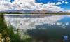 6月21日拍摄的拉鲁湿地水面。