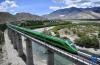 6月22日，复兴号列车行驶在西藏山南境内。新华社记者 觉果 摄