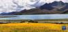 这是7月24日在西藏山南市浪卡子县拍摄的羊卓雍湖景色（手机照片）。新华社记者 沈虹冰 摄
