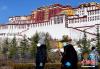 1月12日，西藏拉萨，信众围绕布达拉宫转经。 李林 摄