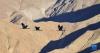 在西藏雅鲁藏布江中游河谷黑颈鹤国家级自然保护区日喀则市拉孜县越冬的黑颈鹤（1月23日摄）。新华社记者 晋美多吉 摄