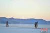 西藏山南市浪卡子县推瓦村的牧民为羊群在冰面上撒炉灰铺路。