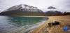 这是3月19日拍摄的巴松湖（手机照片）。新华社记者 沈虹冰 摄