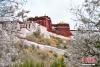 3月25日，西藏拉萨宗角禄康公园春意盎然。中新社记者 贡嘎来松 摄