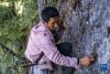 在西藏林芝市察隅县下察隅镇附近的密林中，一位“采山人”在崖壁上采集石耳（9月2日摄）。新华社记者 孙非 摄