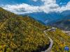 红拉山秋景（10月20日摄，无人机照片）。新华社记者 孙非 摄