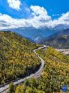 红拉山秋景（10月20日摄，无人机照片）。新华社记者 孙非 摄