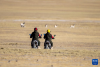 在羌塘国家级自然保护区，野生动物管护队员骑着摩托车观察藏羚羊（12月17日摄）。新华社记者 姜帆 摄