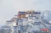 1月18日，西藏拉萨迎来一场大雪，雪后的布达拉宫美如画。中新社记者 贡嘎来松 摄