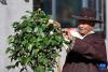 扎巴旺旦在家门口为自己种的花剪枝（3月11日摄）。新华社记者 姜帆 摄