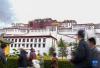 5月5日，游客在布达拉宫前参观游玩。新华社记者 丁汀 摄