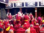 西藏13名僧人获藏传佛教格西拉让巴学位