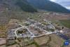 西藏林芝市察隅县沙琼村全景（4月19日摄，无人机照片）。