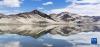 这是位于西藏自治区日喀则市定结县的定结湿地（2021年5月13日摄，手机照片）。新华社记者 沈虹冰 摄
