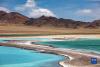 这是位于西藏自治区阿里地区改则县的物玛错，湖水呈现出不同颜色（2022年4月12日摄）。新华社记者 姜帆 摄