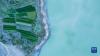 这是5月30日拍摄的然乌湖风光（无人机照片）。