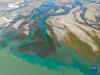 流经雅尼湿地的尼洋河和雅鲁藏布江交汇处（11月19日摄，无人机照片）。新华社发（董志雄 摄）