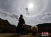 3月20日，西藏拉萨，身着藏装的游客与日晕相映。中新社记者 李林 摄