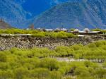 西藏雅尼国家湿地公园春光美