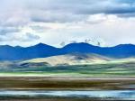 西藏措美：草原天地阔 万物任徜徉