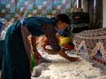 西藏班戈：产业发展 带动增收