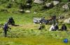 西藏自治区那曲市边坝县的农民在收获牧草（8月17日摄）。