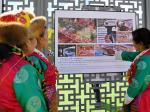 西藏：逛摄影大展 赏“和美高原”