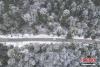 图为12月18日，冬日西藏扎墨公路雪景。（无人机画面）江飞波 摄