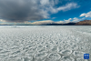 玛旁雍错湖面上的冰堆积在一起，呈现出各式各样的造型（1月29日摄，无人机照片）。新华社发（旦增努布摄）