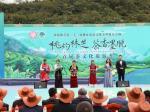 打造“茶旅”名片 西藏墨脱首届茶文化旅游季开幕